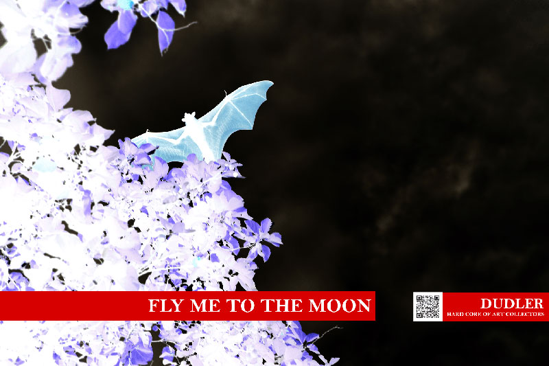 Fly me to the moon - Zeile 13 - Hard Core of Art Collectors, Raphael Dudler
