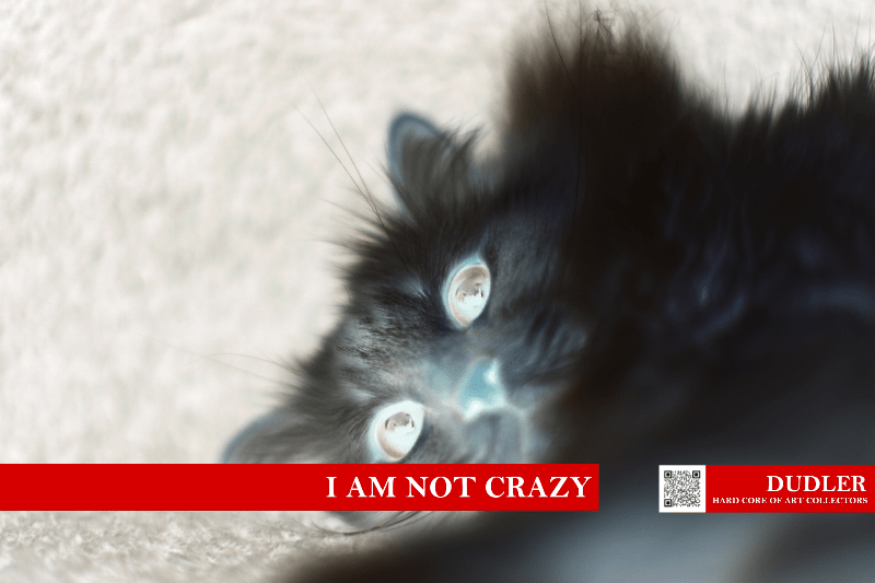 I am not crazy - Zeile 29 - Hard Core of Art Collectors, Raphael Dudler