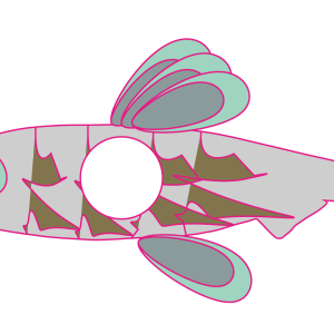 Fisch 42 ist ein Designelement aus 88 Varianten des Modelabels AMEN.fashion. Das Label steht für Toleranz, Respekt und friedliches Zusammenleben der Völker.