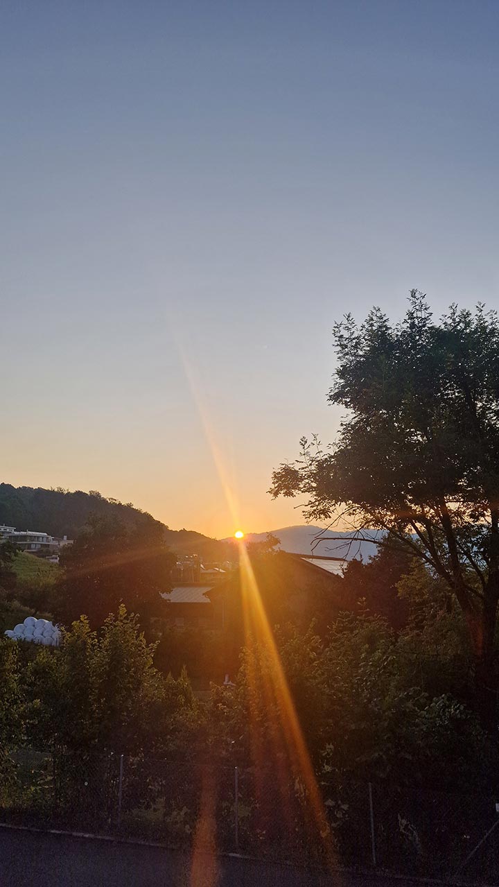 Der Herbst ist nah und die Zeit reif, um sich auf das Wesentliche im Leben zu fokussieren. Ein neuer Lebensabschnitt beginnt. Der Herbst ist nah und die Zeit reif, um sich auf das Wesentliche im Leben zu fokussieren. Ein neuer Lebensabschnitt beginnt.